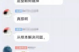 浙江融资清欠服务